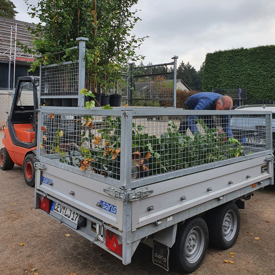 Ausbesserungen im Garten